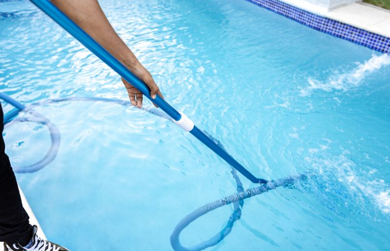 Above Ground Pool Cleaning detail