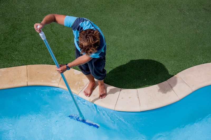 Above Ground Pool Cleaning detail